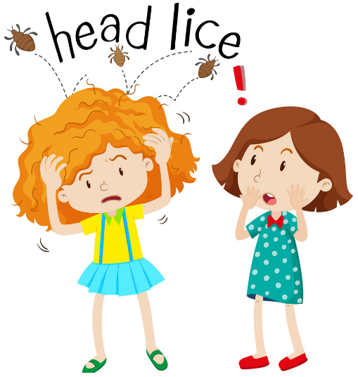 How did I or my child get Lice? Head Lice Removal for the masses